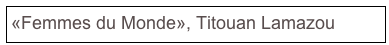 «Femmes du Monde», Titouan Lamazou
